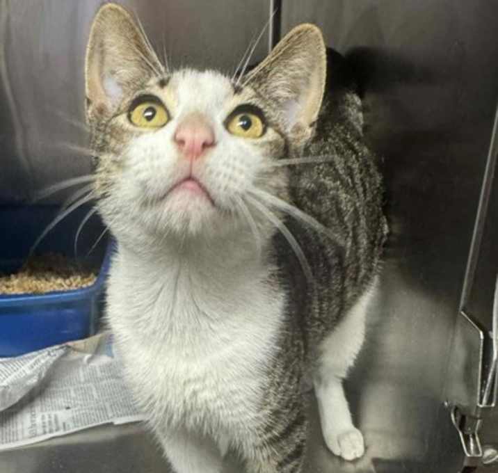 Photo of Vince Camuto