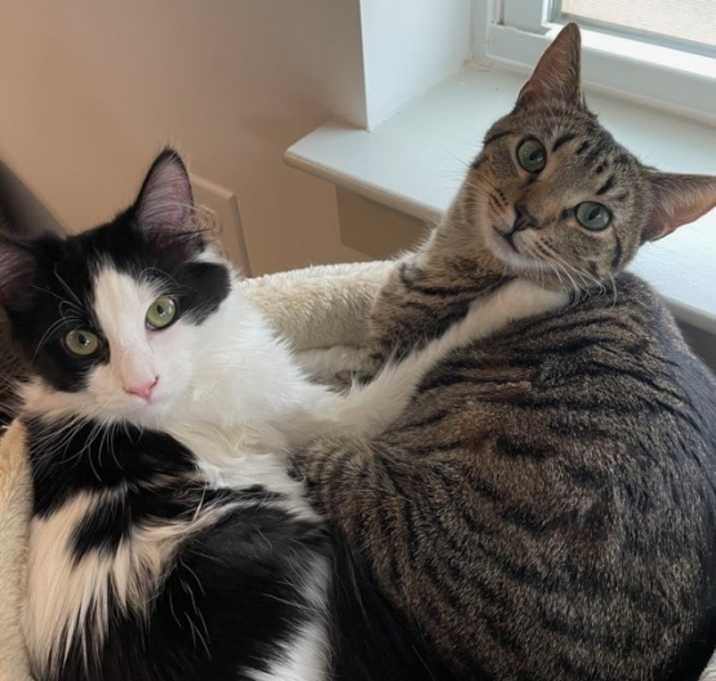 Photo of Mochi & sabi