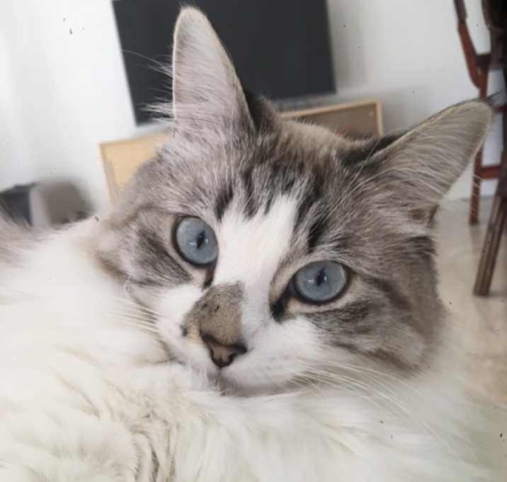 Photo of Pearl Perla