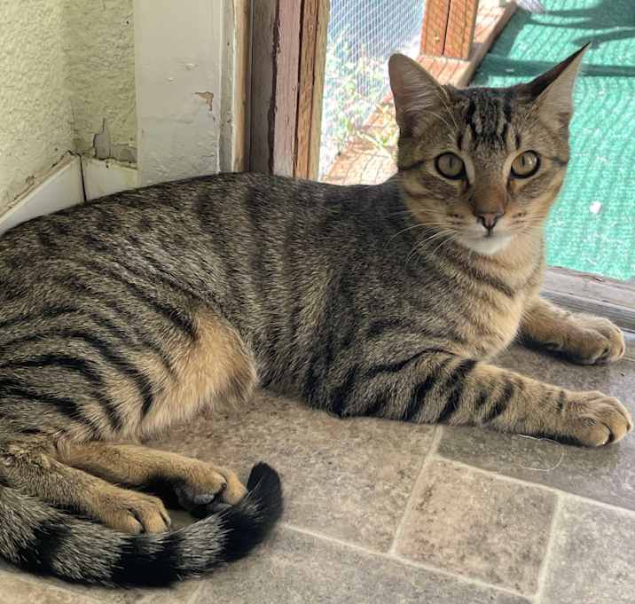 Photo of Sundancer & Spirit