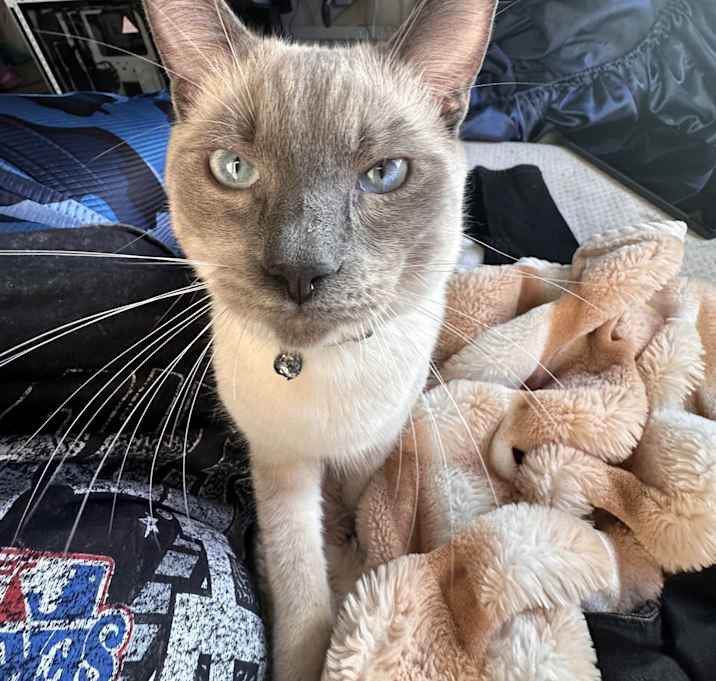 Photo of Klaus and Koda