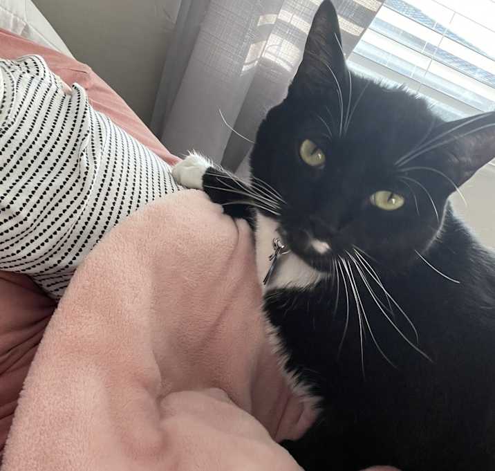 Photo of Kendra DeMartino