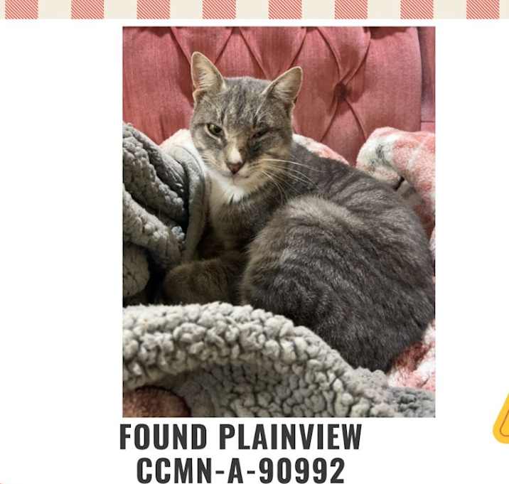 Photo of FOUND Plainview