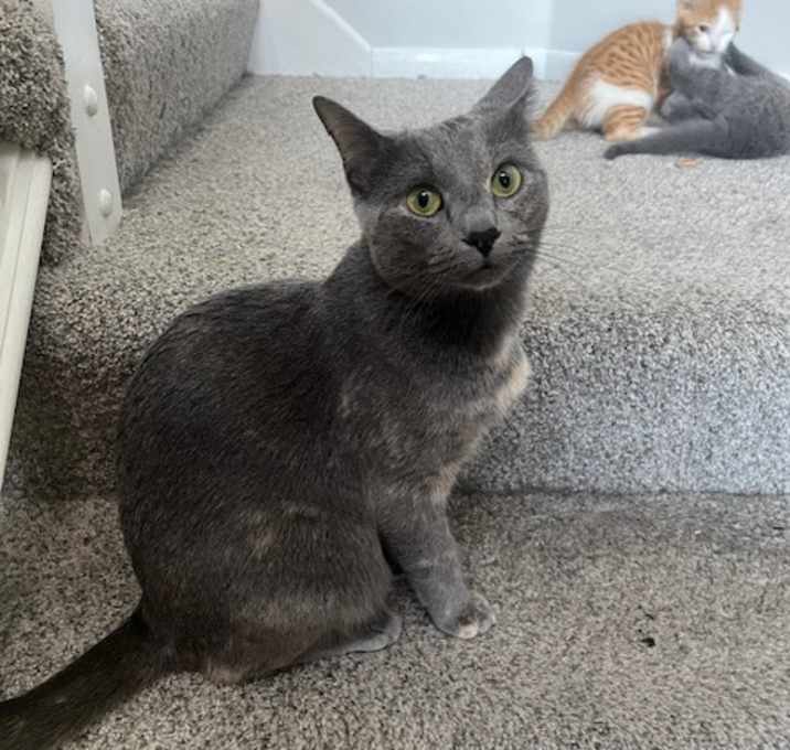 Photo of Park Ranger