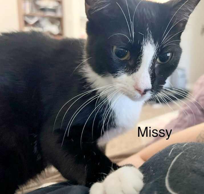 Photo of Missy