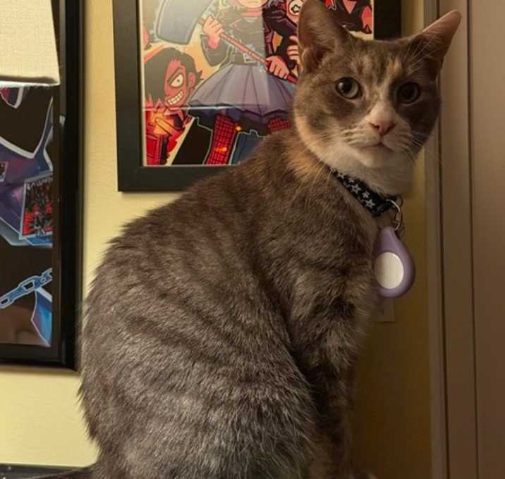 Photo of Emily DCStray