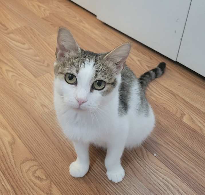 Photo of Momma Maggie