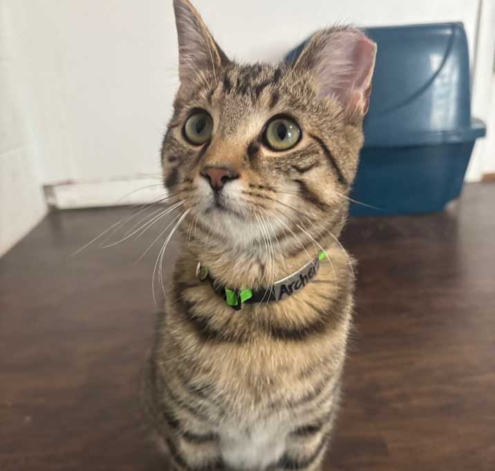 Photo of Archer 79C25