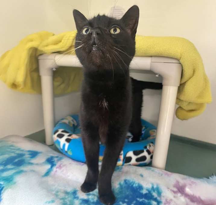 Photo of Madame Josie