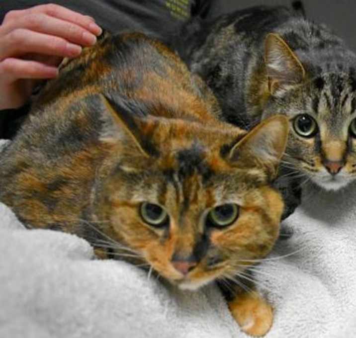 Photo of Oliver & Doing