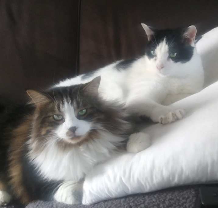 Photo of Bubba & Bistro