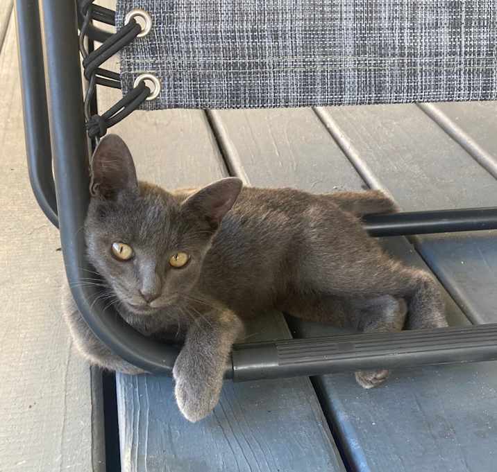 Photo of Micah A25-218