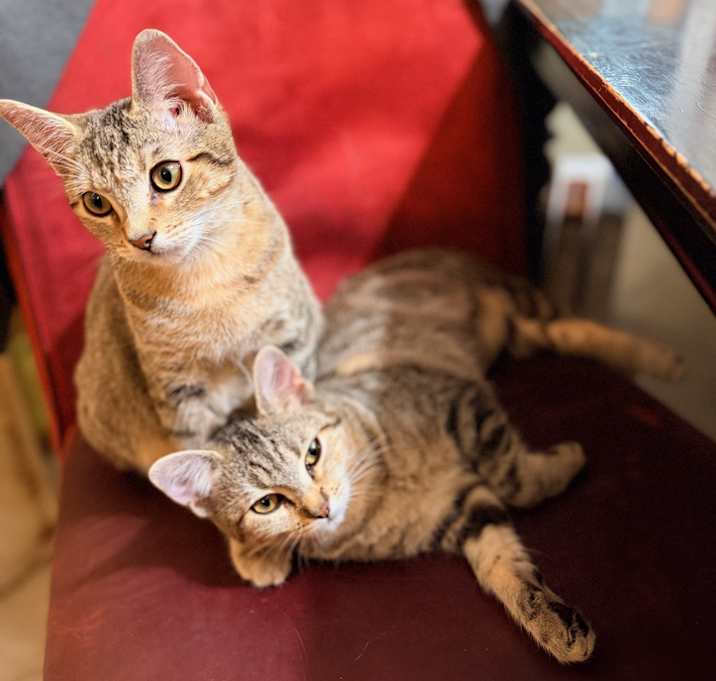 Photo of Frank and Betsy