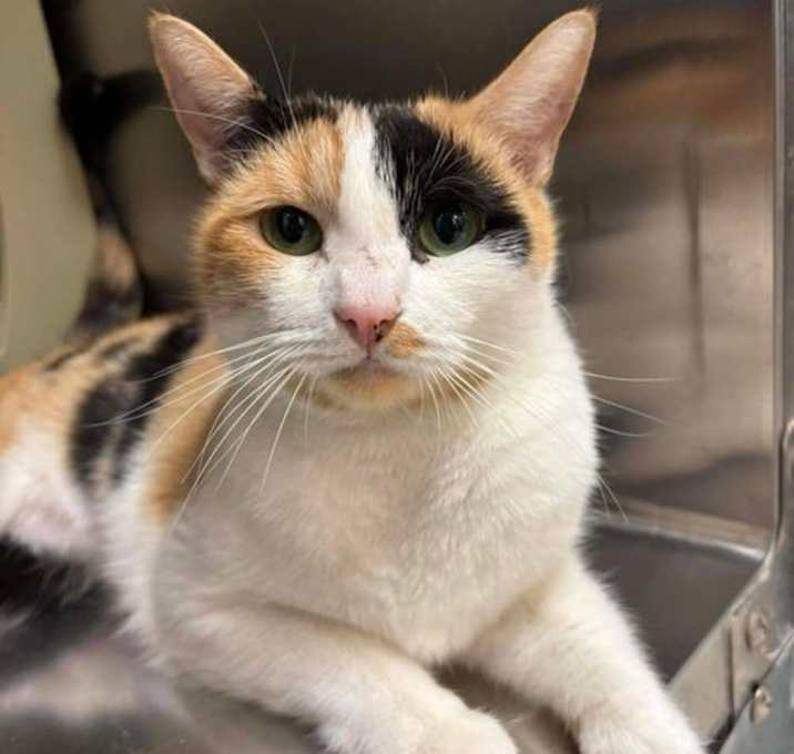 Photo of Callianna Knight