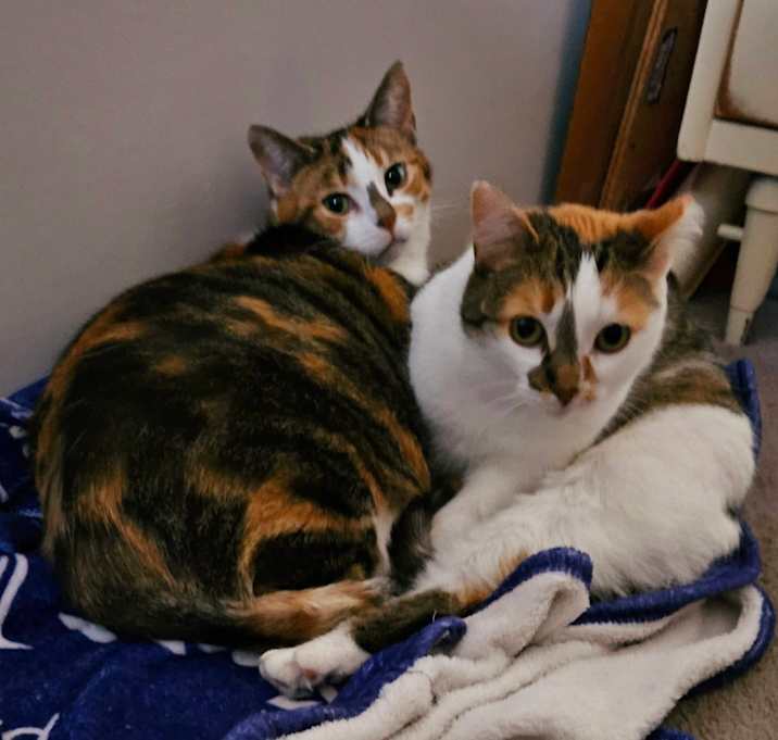 Photo of Angel & Stormy