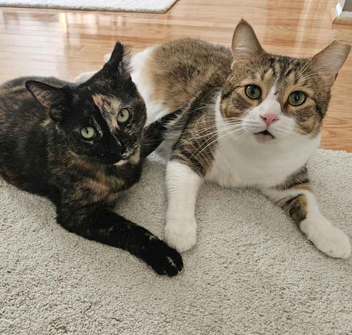 Photo of Goodboy & Sara