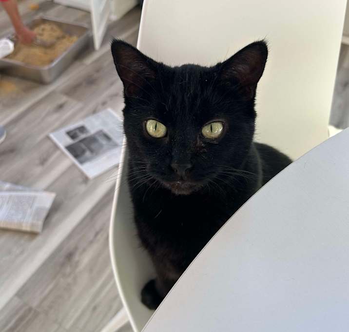 Photo of Timmie Gratiot 55553 