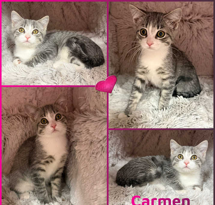 Photo of Carmen