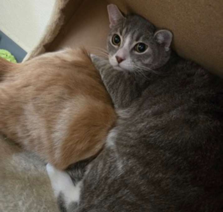 Photo of Kayden OF128