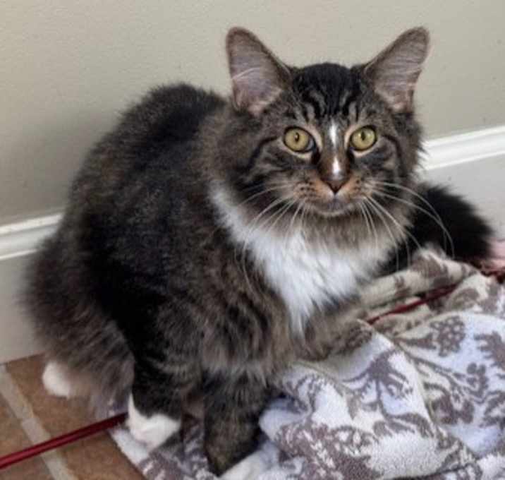 Photo of Whiskey - Foster