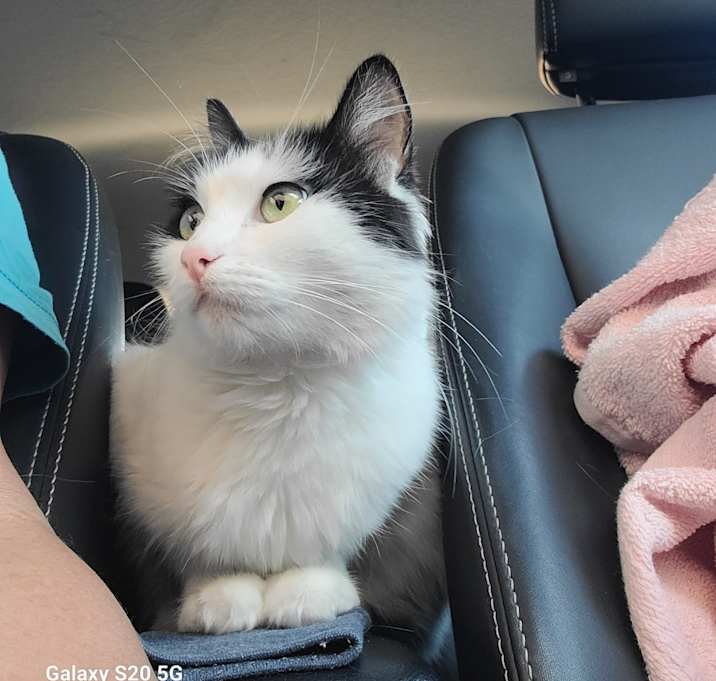 Photo of Francine (Frannie)