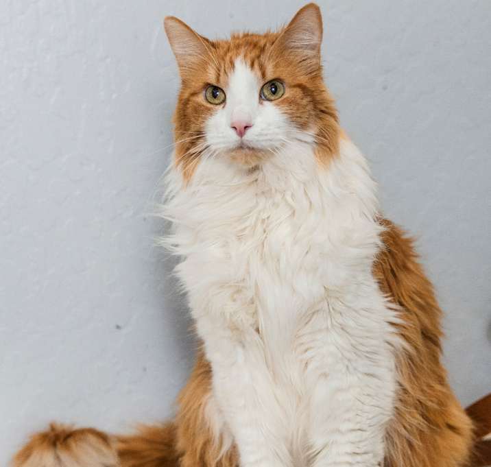 Photo of Zephyr Cove