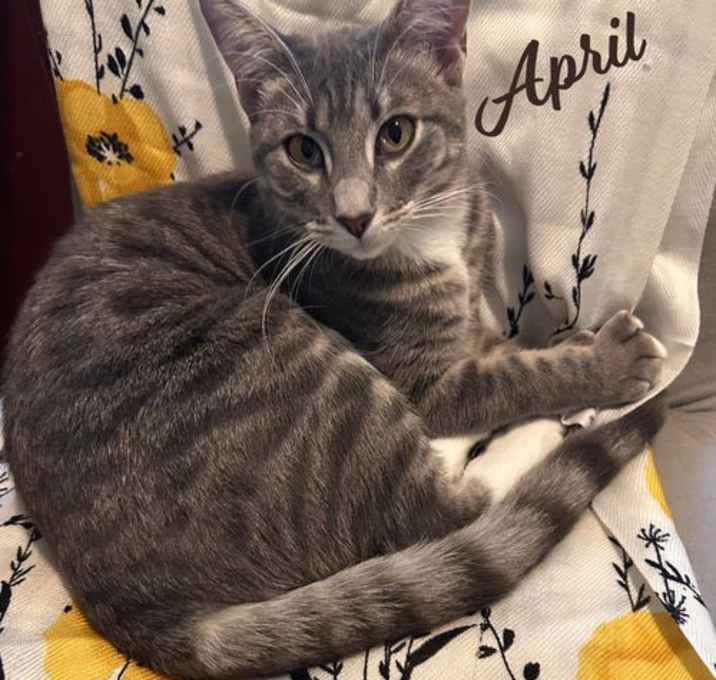 Photo of April #snuggle-queen