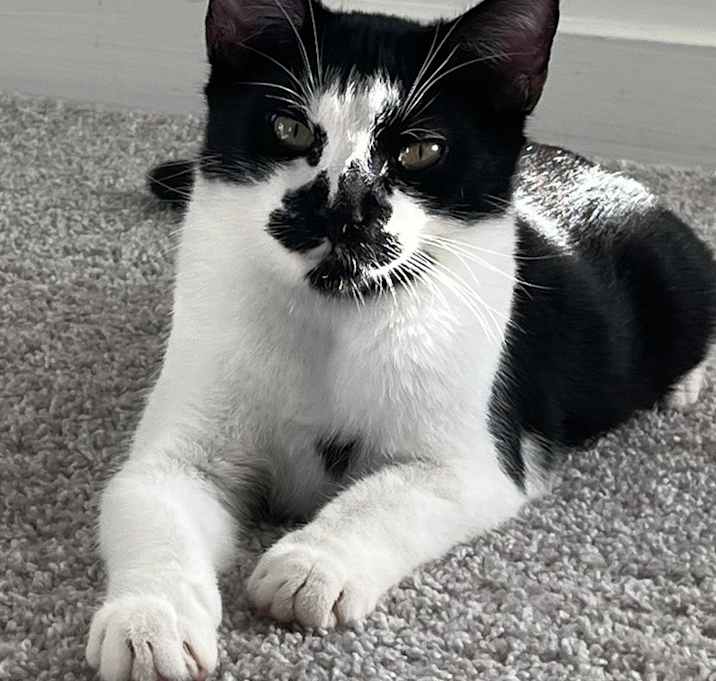 Photo of Archie Andrews