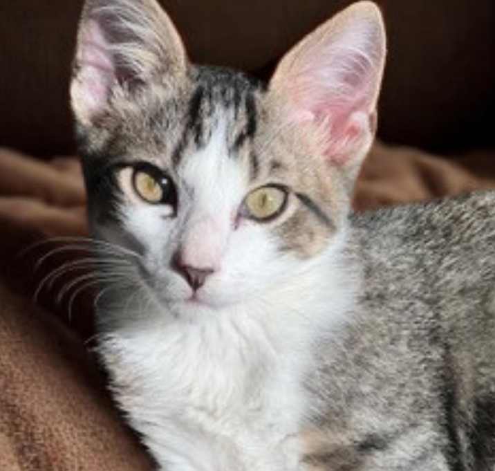 Photo of Thomas Magmun