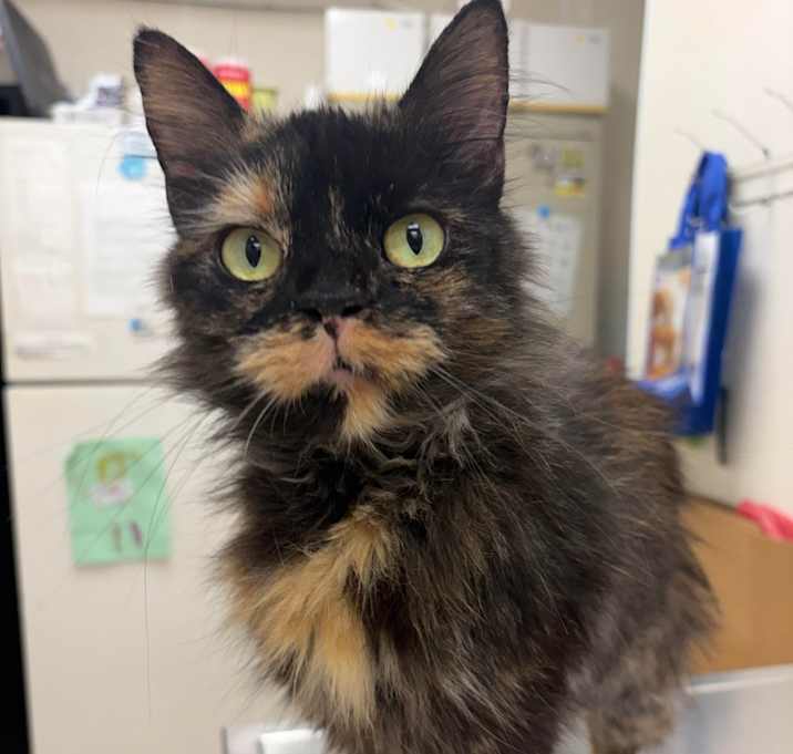 Photo of Aunt Gloria