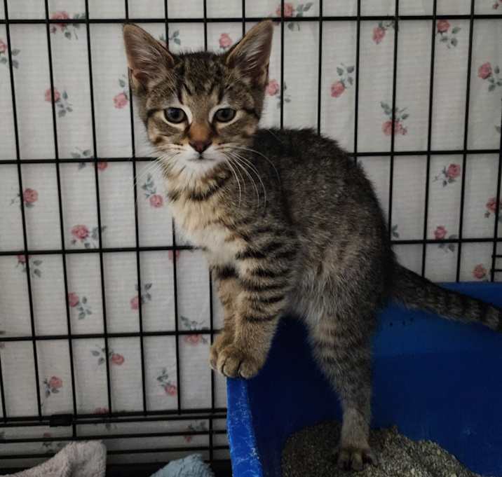 Photo of Jack Torrance