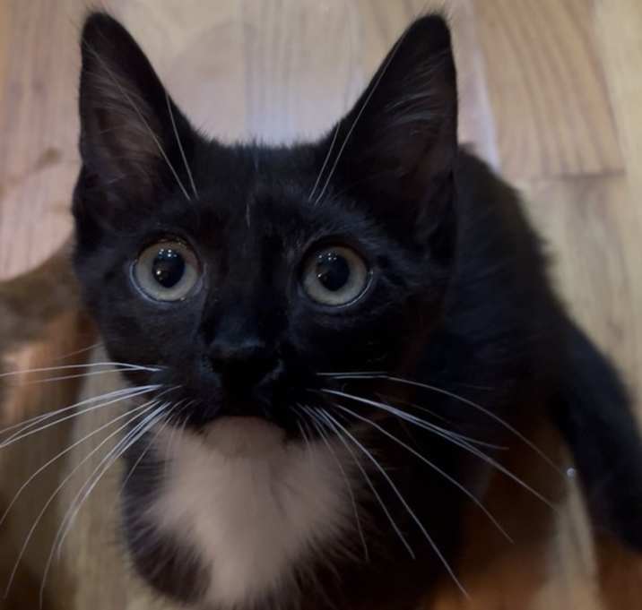 Photo of Lucille Ball