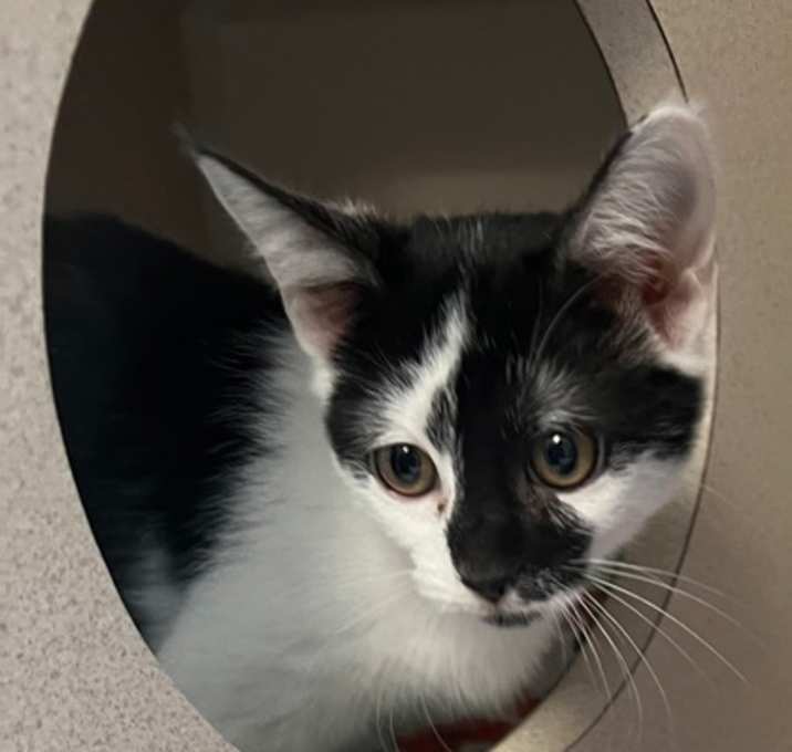 Photo of Patty Wafer