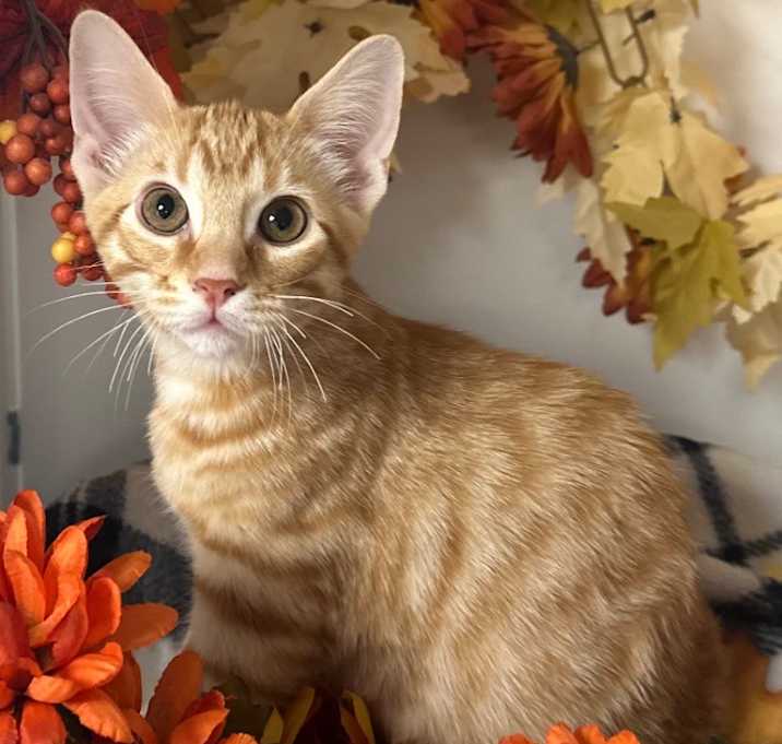 Photo of 8/20/25 - Jasper