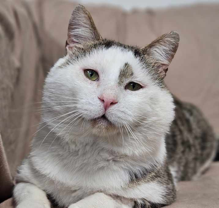 Photo of Sweet Cheeks