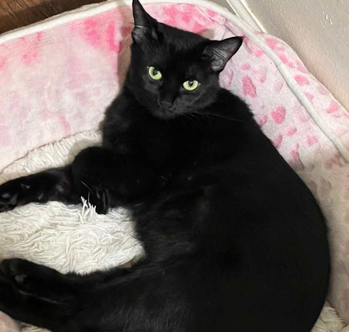 Photo of Mama Sundae OBCR-1513