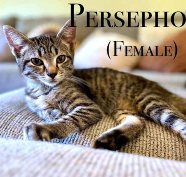 Photo of Persephone