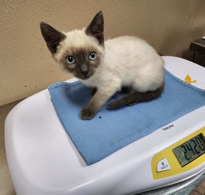 Photo of JACKSONVILLE