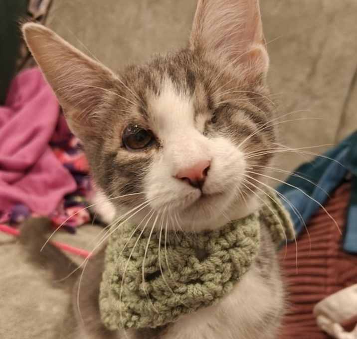 Photo of Bubba Gump Shrimp