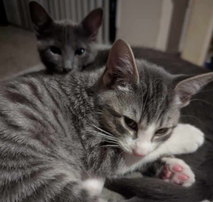 Photo of Chance & Chole