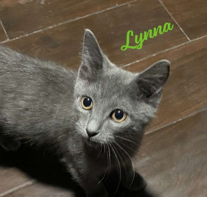 Photo of Lynna #people-lover