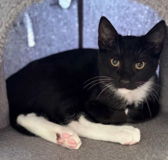 Photo of Ethan (& Cruz)