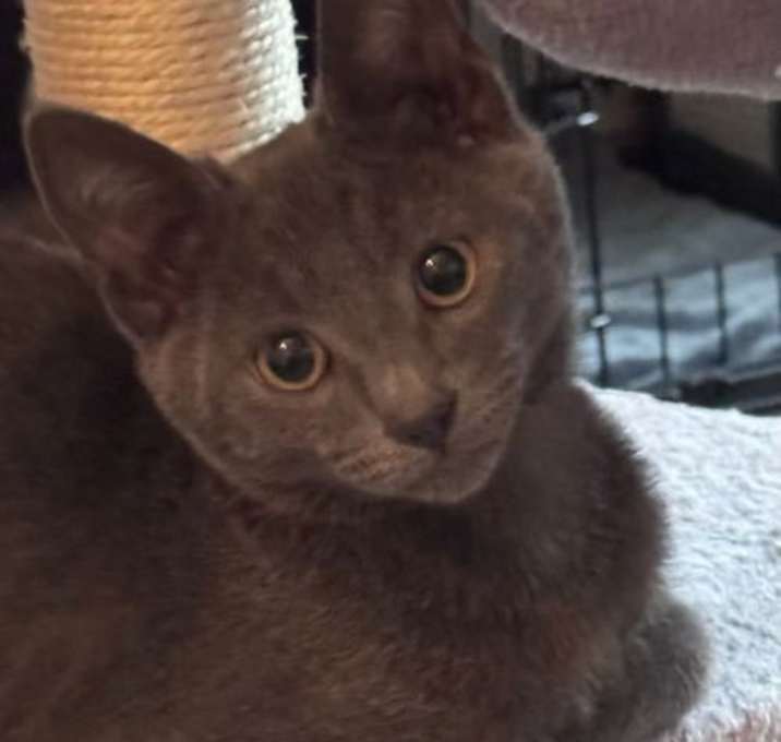 Photo of Cruz (& Ethan)