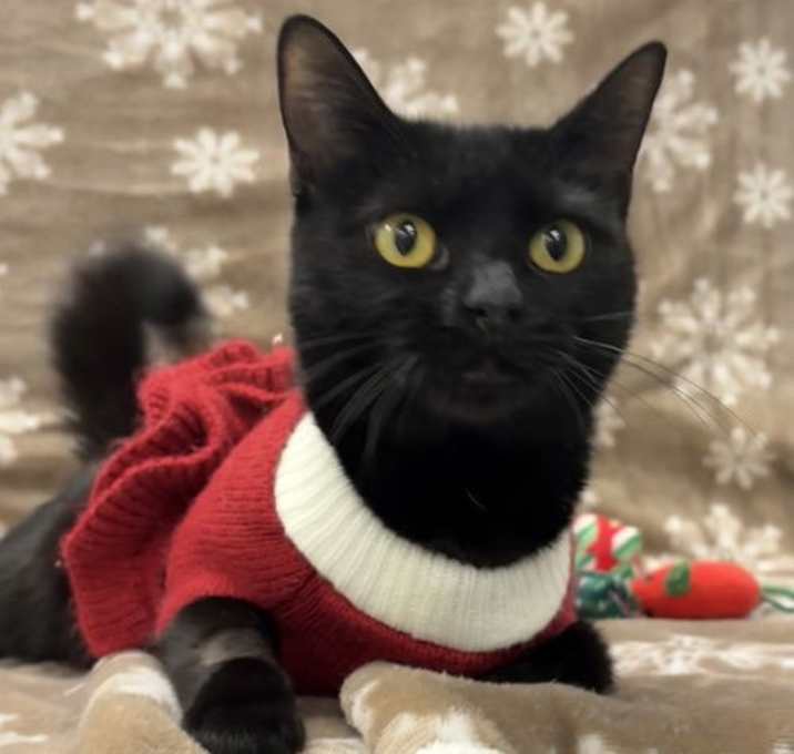 Photo of Queen Akasha