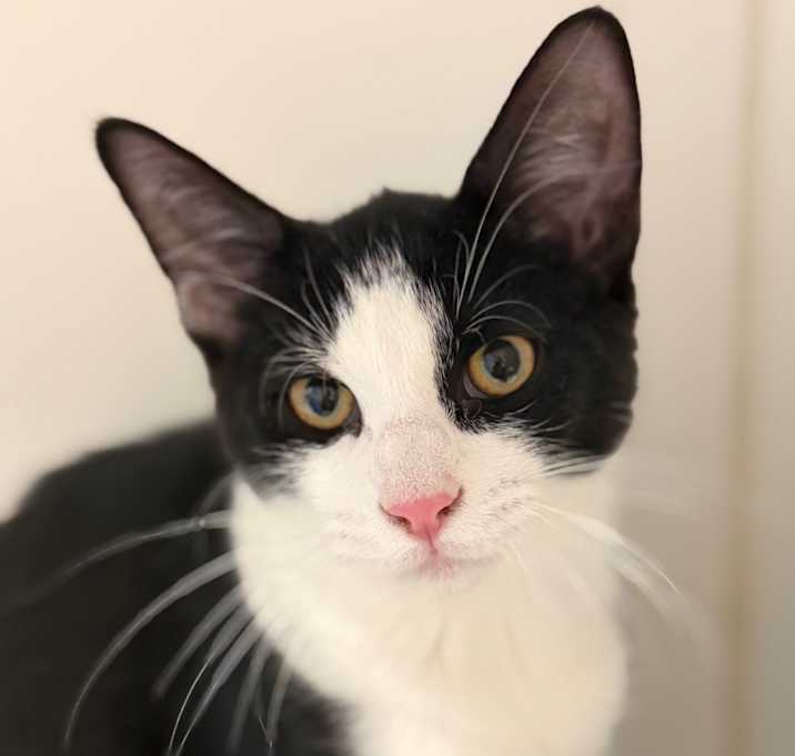 Photo of Pencil Case