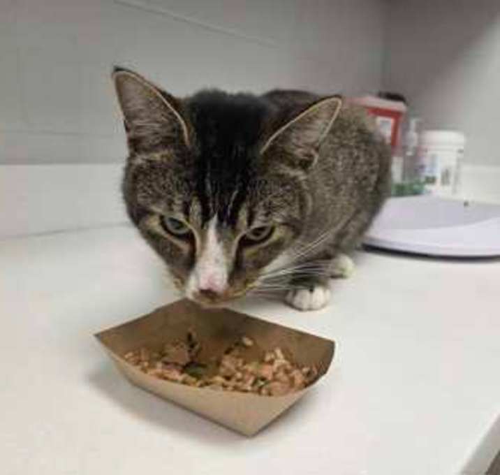 Photo of A Haircut From The 80s
