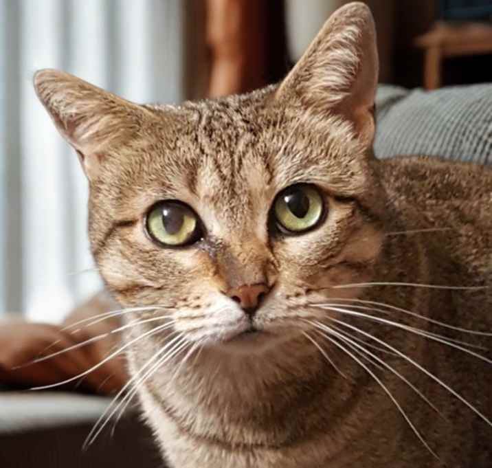 Photo of Betty White