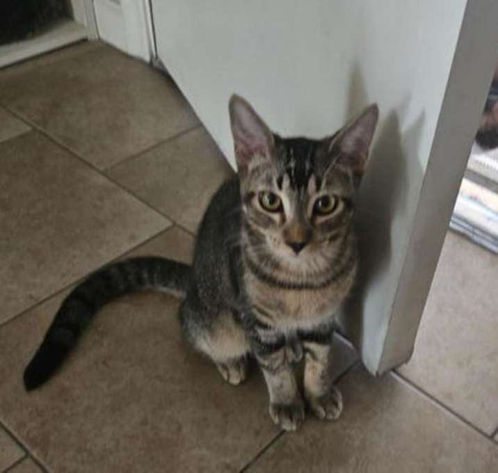 Photo of Shy Guy Iturbe