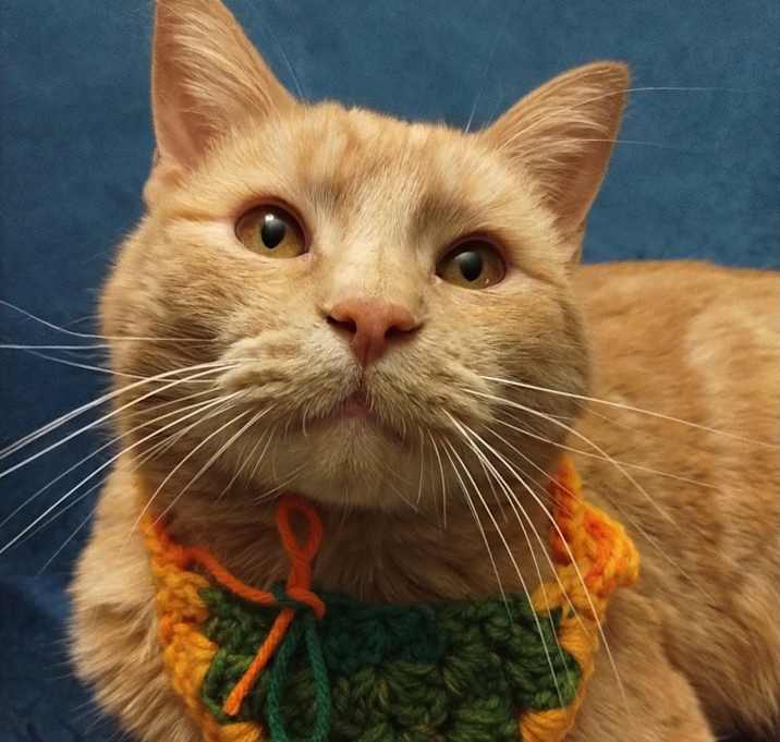 Photo of Kool-Aid Man