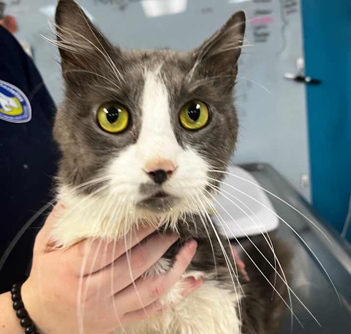 Photo of Mr. Freeman